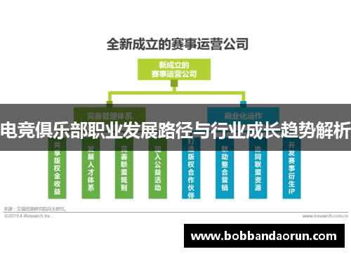 电竞俱乐部职业发展路径与行业成长趋势解析
