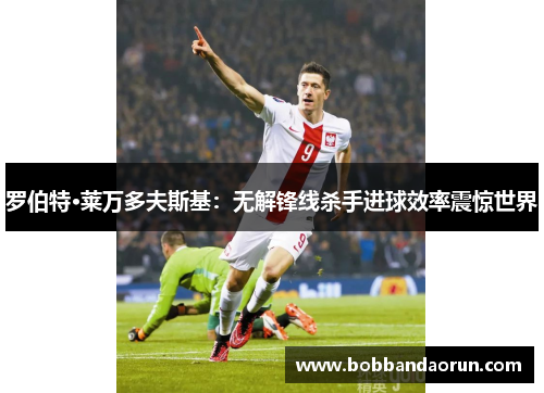罗伯特·莱万多夫斯基：无解锋线杀手进球效率震惊世界